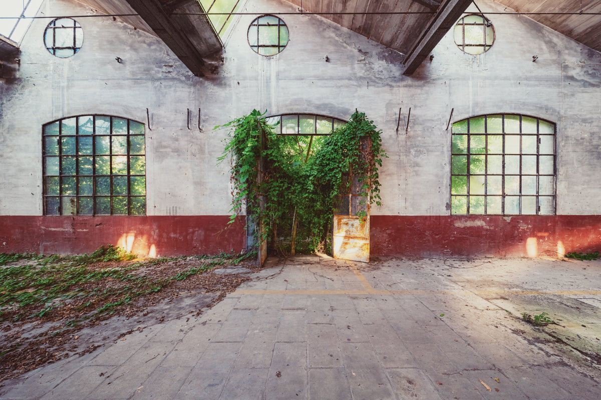 Combattimento by Gina Soden