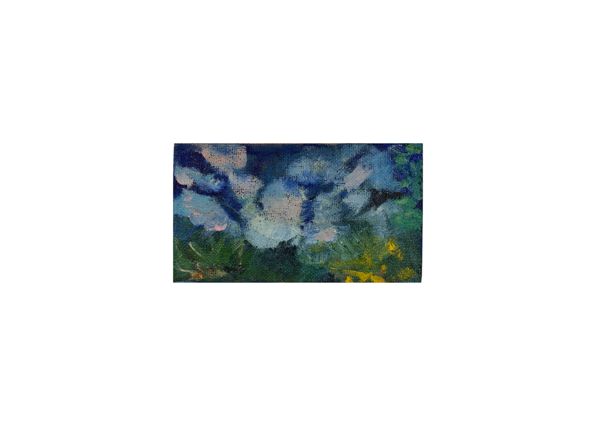 Under the Summer sky