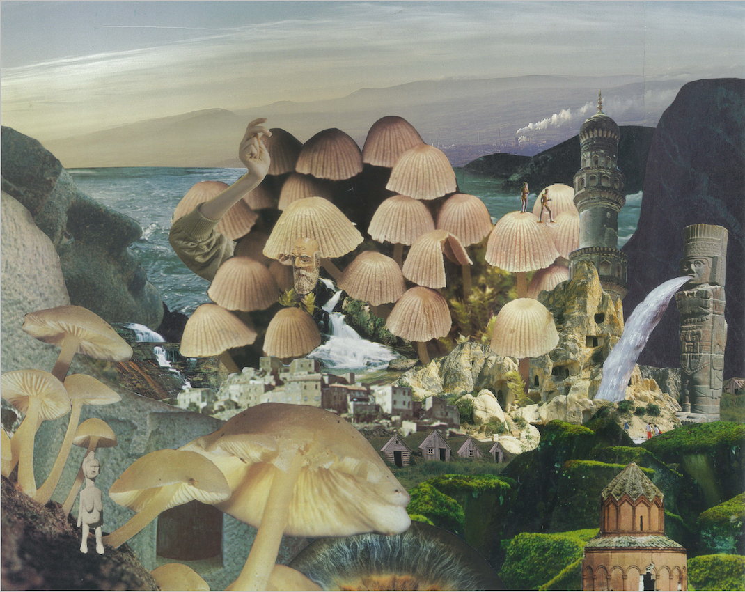 Mushroomscape