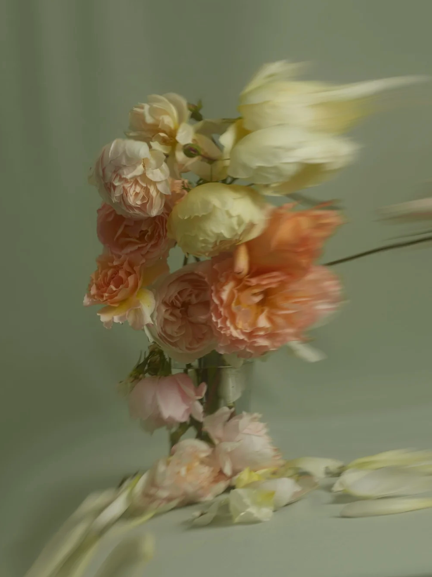 ENGLISH ROSES II