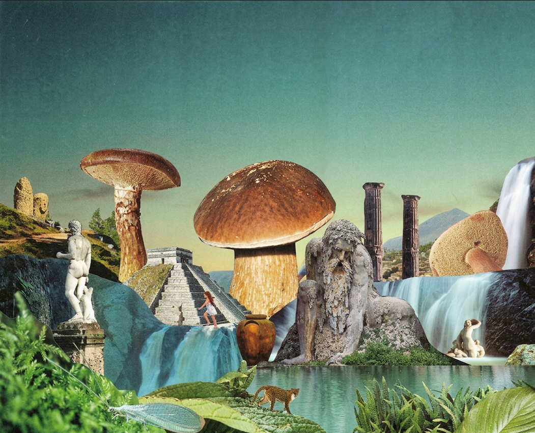 Untitled Dreamscape