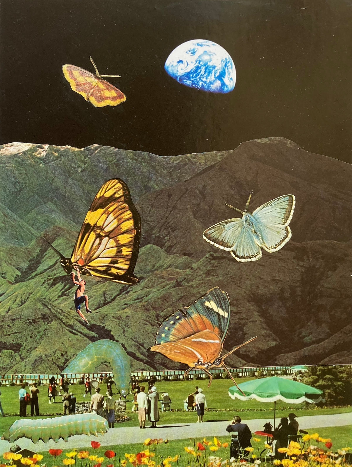 Metamorphosis