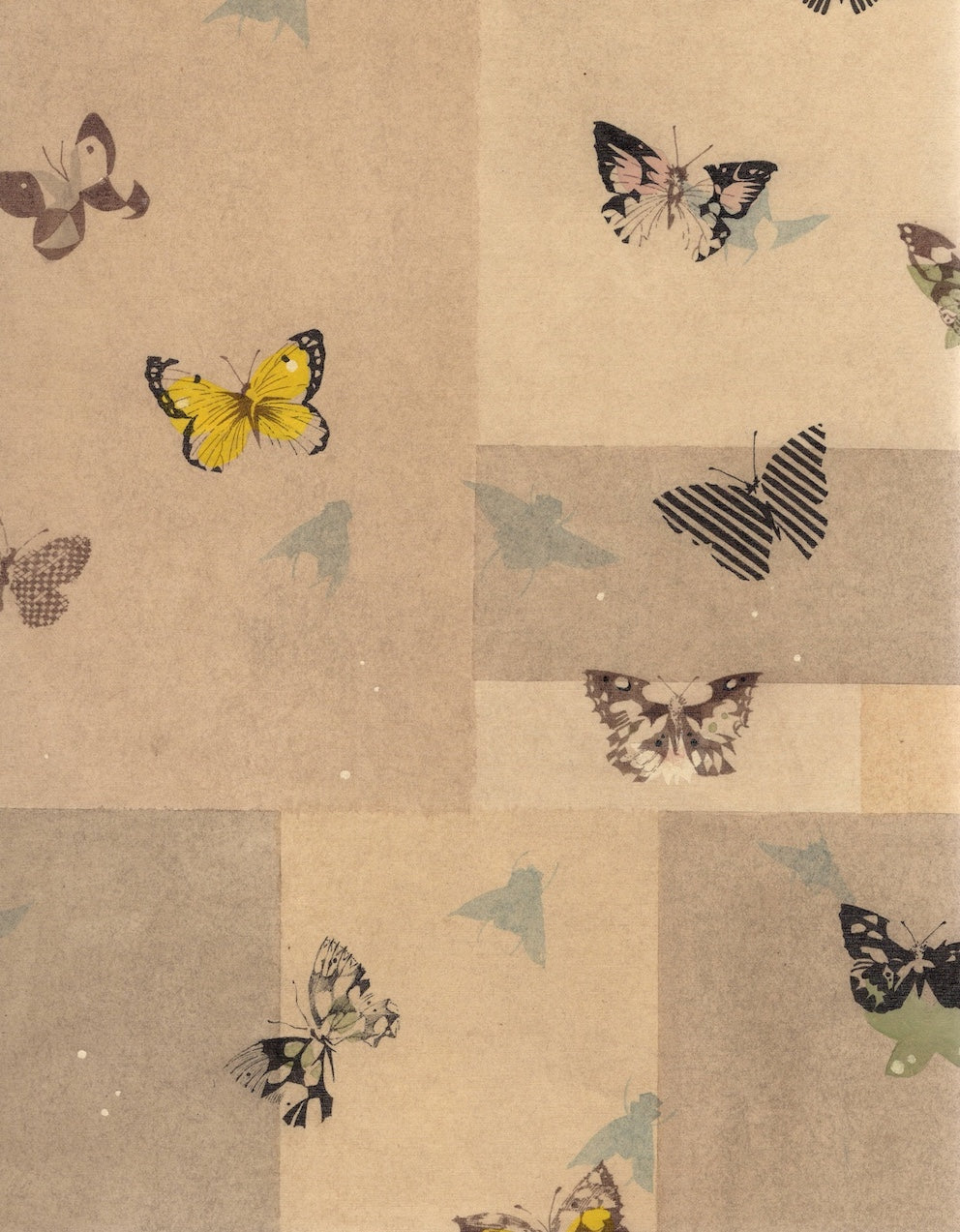 Butterfly Cabinet