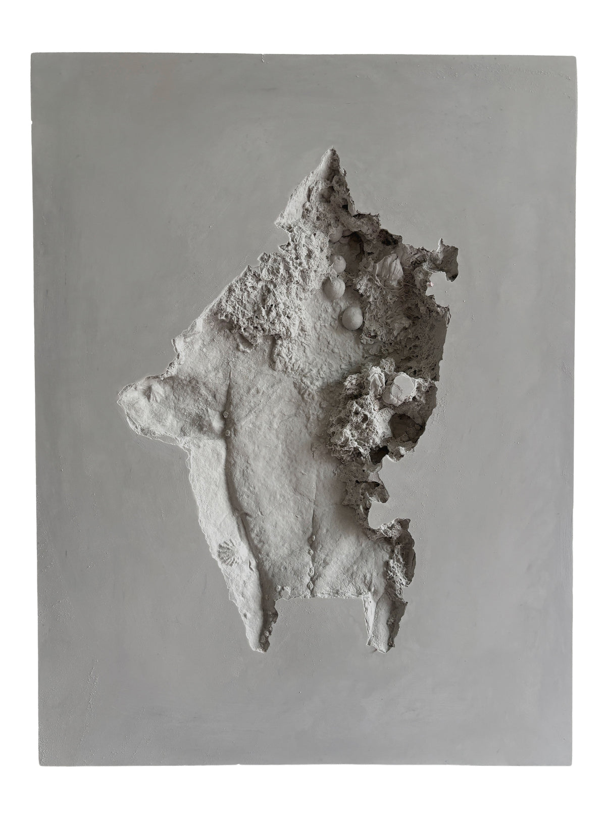 Bare Tide by Eleanor Turnbull
