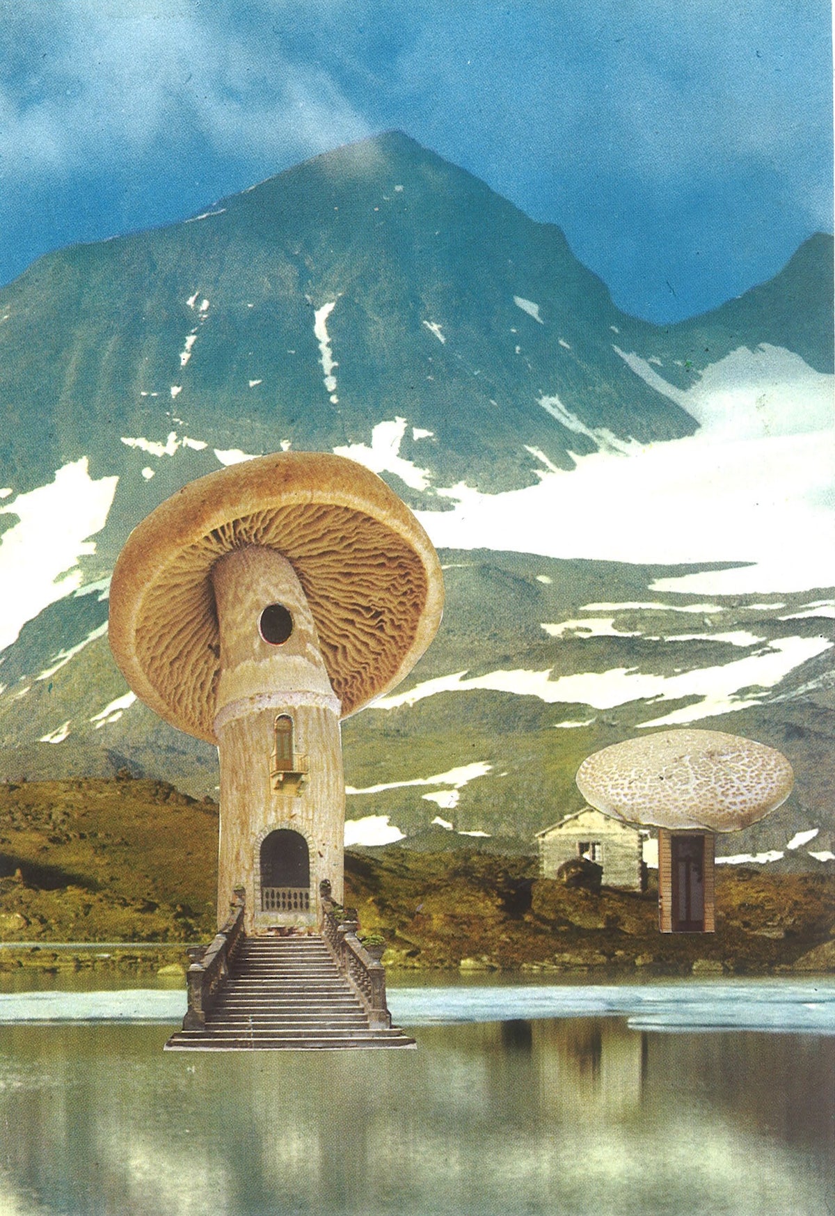Mushroom architecture One