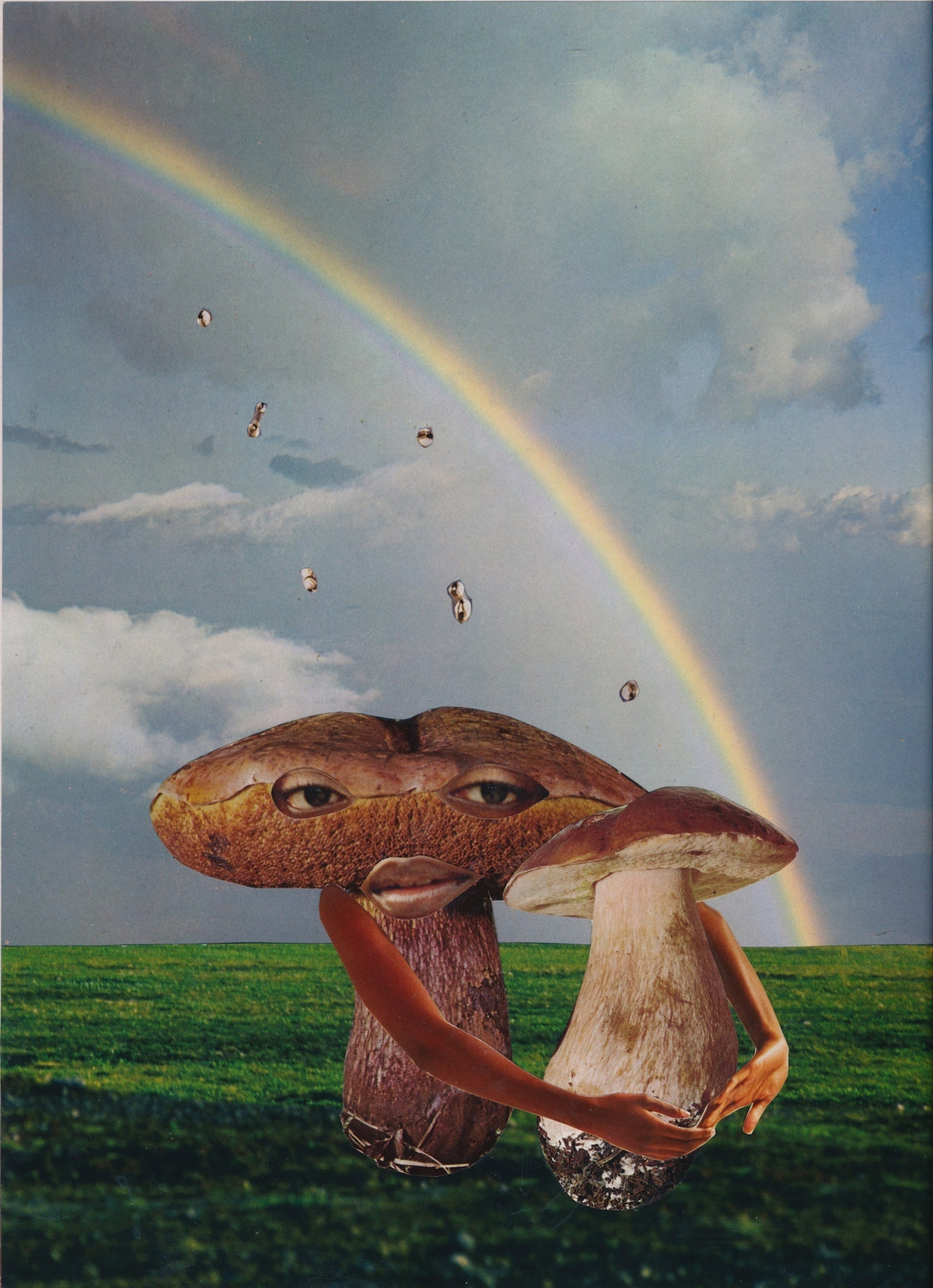 Mushroom at the end of the rainbow