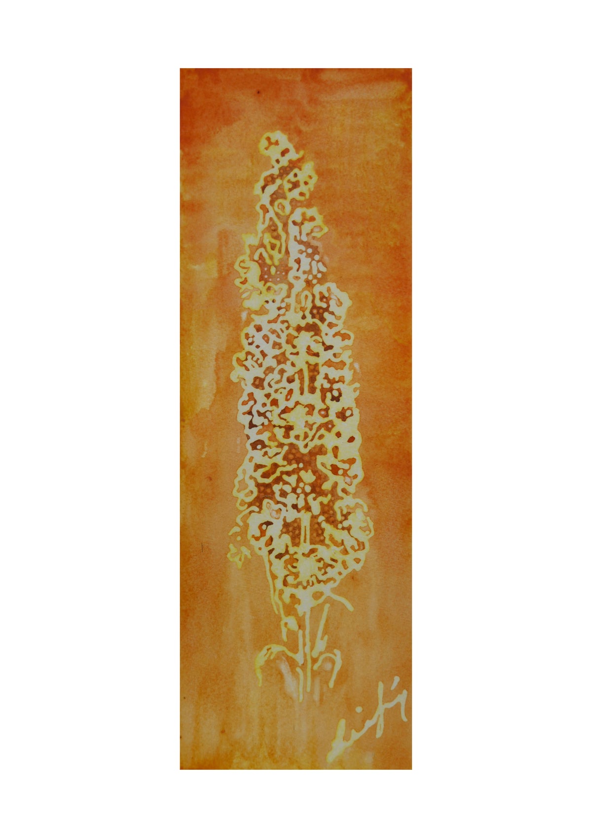 Dusk flower