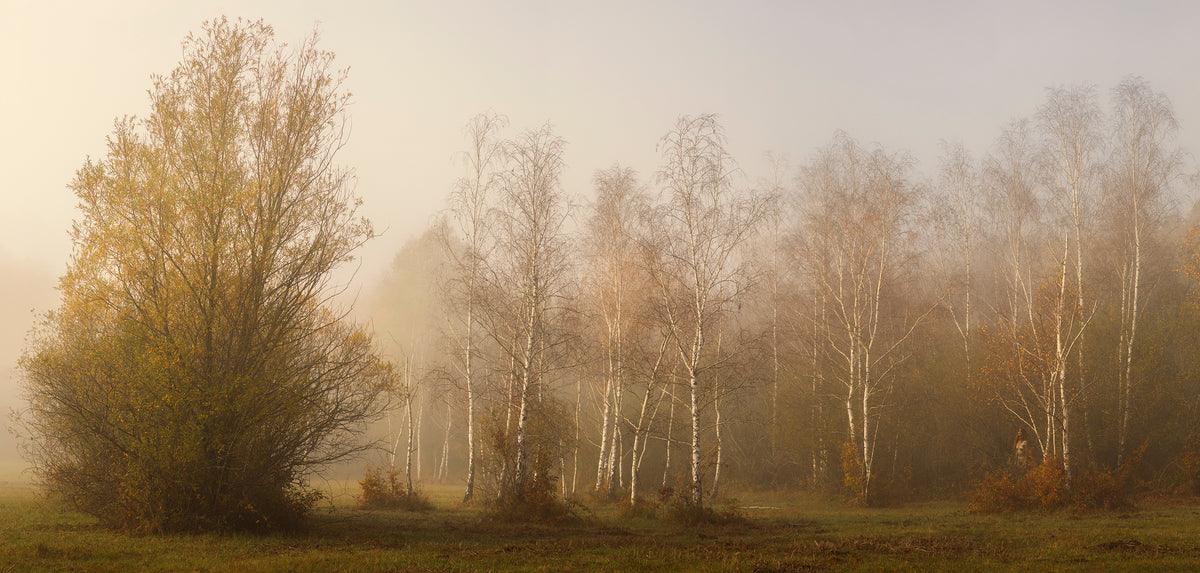 Plaine de Sorques
