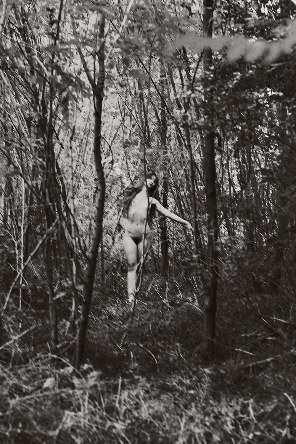 L'Éveil Sauvage ii