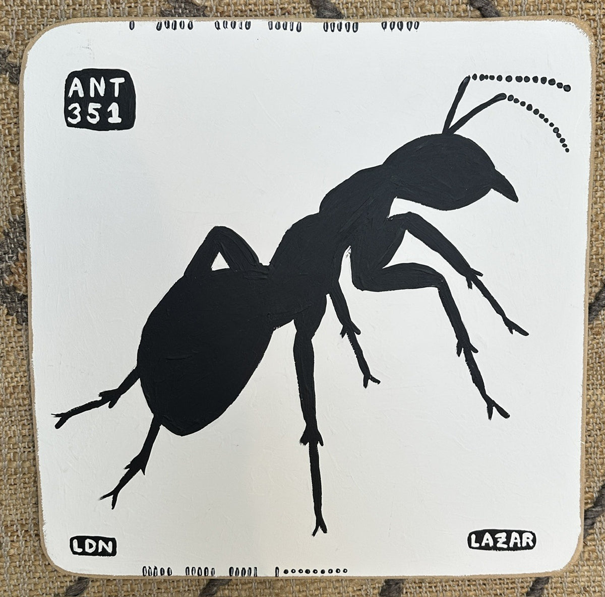 Ant-351